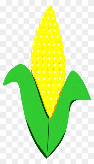 Corn Clipart 5 Image - Ear Of Corn Animated - Png Download