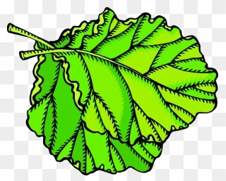 Fruit Leaf Vegetable Animation Clip Art - Clip Art - Png Download