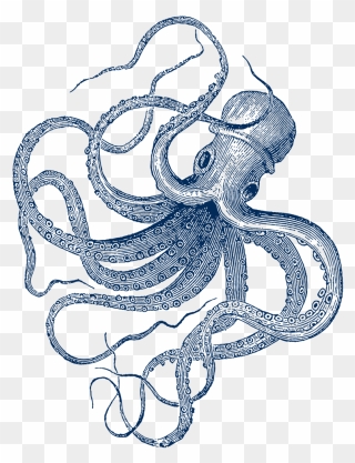 Vintage Octopus Illustration Clipart