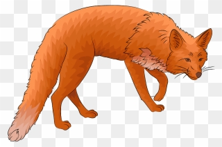 Red Fox Clipart - Png Download