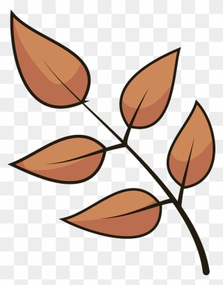 Autumn Leaves Clipart - Png Download