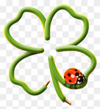 Klavertje Vier Met Lieveheersbeestje Clipart
