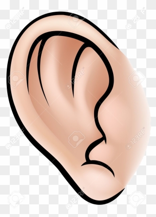 Art Clip Part - Parts Of Body Ear - Png Download