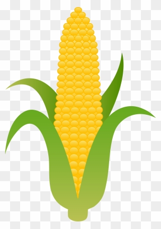 Corn Clip Art - Png Download