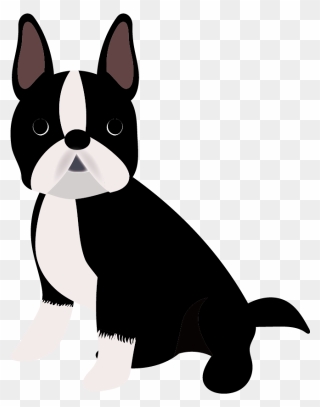 Boston Terrier Puppy Dog Breed Companion Dog French - Boston Terrier Clipart Png Transparent Png