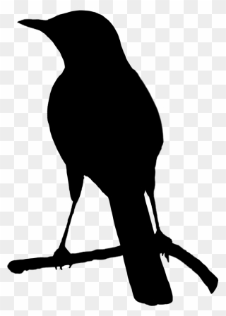 Small Black Silhouette Of Bird - Bird Clipart Silhouette - Png Download