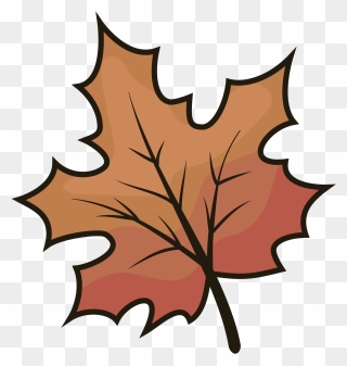 Maple Leaf Clipart - Png Download