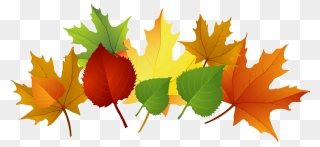 Fall Leaf Clip Art Free Cliparts That You Can Download - Autumn - Png Download