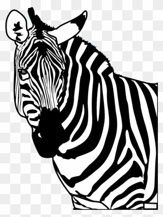Transparent Zebra Silhouette Png - Black Zebra Silhouette Transparent Clipart