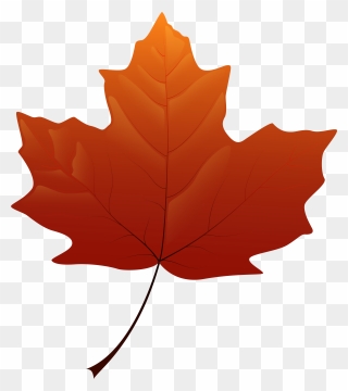 Clipart Maple Leaf Autumn Leaves - Png Download