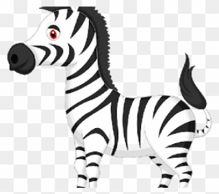 Zebra Clipart Png Transparent Png