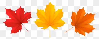 Fall Leave Clipart Image Transparent Set Fall Leaves - Clipart Fall Leaf Png
