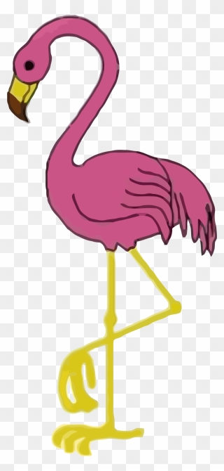 Flamingo Clipart - Png Download