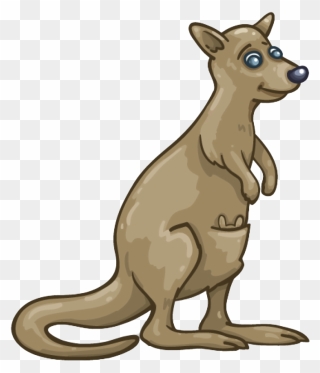 Kangaroo Wallaby Png Clipart - Wallaby Transparent