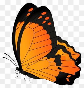 Butterfly Orange Transparent Clip Art Image - Png Download