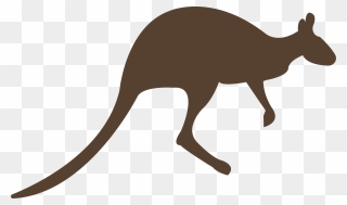 Head Clipart Kangaroo - Kangaroo Brown Png Transparent Png