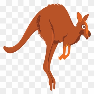 Cartoon Kangaroo Clipart - Big Kangaroo Clip Art - Png Download