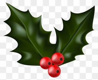 Christmas Clip Art - Christmas Holly Png Transparent Png