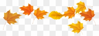 Transparent Autumn Leaves Png Clipart