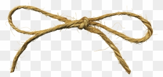 Tied Rope Png - String Transparent Png Clipart