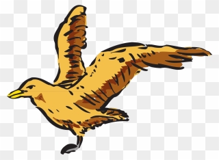 Flying Bird Side View Clipart