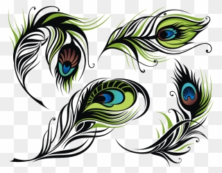 #feathers #feather #pecockfeathers #featherart #feathersticker - Peacock Feather Vector Png Clipart