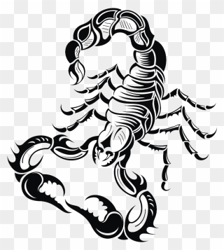Scorpion Drawing Royalty Free - Transparent Scorpion Tattoo Png Clipart