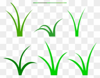 Grass Vector Clipart