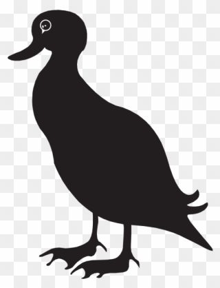 Black Duck Silhouette Png Icons - Clipart Black Duck Transparent Png