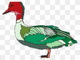 Red Duck Cliparts - Red And Green Ducks - Png Download