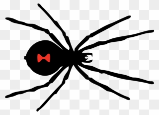 Black Widow Spider Png Clipart