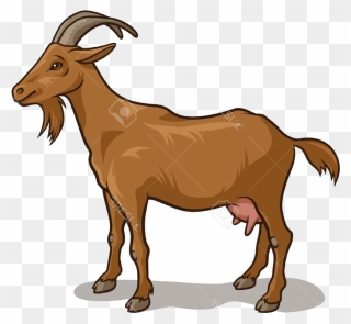 Clipart Goat - Clipart Picture Of A Goat - Png Download