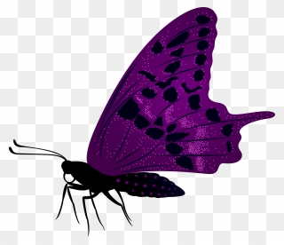 Large Purple Butterfly Png Clip Art Imageu200b Gallery Transparent Png