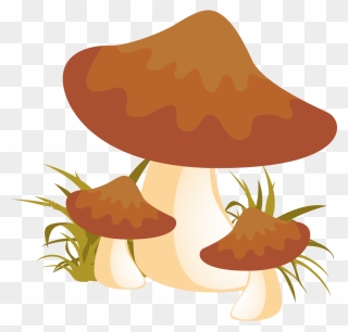 Autumn Mushroom Png Png Clipart