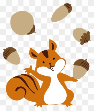 Squirrel Animal Acorn Clipart - りす どんぐり イラスト - Png Download