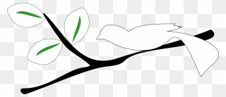 Acorn Clipart Correlation - Black And White Clipart Of A Branch - Png Download