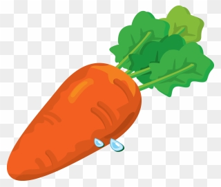 Zucchini Clipart Acorn Squash - Carrots Clip Art Png Transparent Png