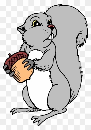 Cute Gray Squirrel Cartoon Character Holding A Acorn - Gray Squirrel Free Clipart - Png Download