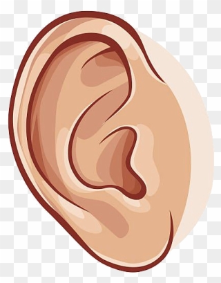 Library Of Ear Clipart Library Library Png Png Files - Clip Art Of Ear Transparent Png
