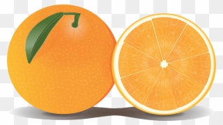 Orange Clipart Transparent Background - Png Download