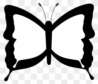 Clipart Sketch Butterfly Drawings Black And White - Png Download
