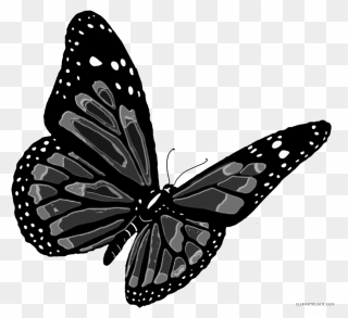 Flying Butterfly Animal Free Black White Clipart Images - Flying Butterfly Purple Png Transparent Png