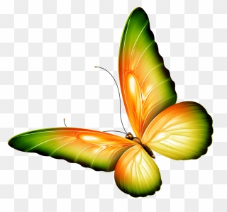 Butterfly Clip Art - Orange And Green Butterfly - Png Download