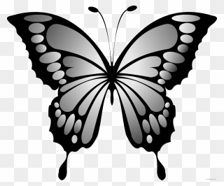 Wonderful Butterfly Animal Free Black White Clipart - Blue Butterfly Wings Png Transparent Png