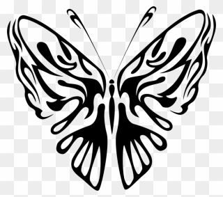Art,symmetry,monochrome Photography - Butterfly Drawing Black And White Clipart