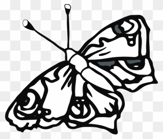 Butterfly 58 Black White Line Art Tatoo Tattoo Svg - Butterfly Coloring Pages Png Clipart