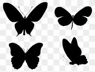 Monarch Butterfly Insect Silhouette Drawing - Betterfly Black And White Clipart