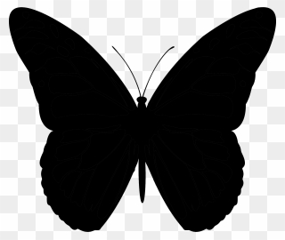 Butterfly Vector Graphics Clip Art Silhouette - Butterflies Drawings Silhouette - Png Download