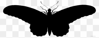 Butterfly Clipart Silhouette - Black Moth Png Transparent Png