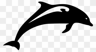 Dolphin Clip Art - Dolphin Fish Black And White - Png Download
